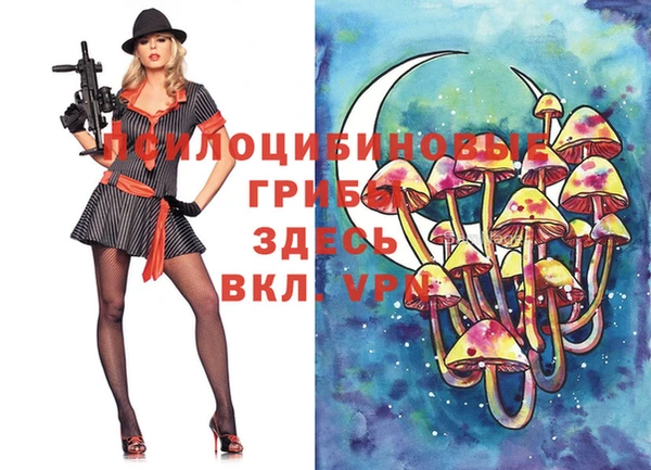 дмт Михайловск