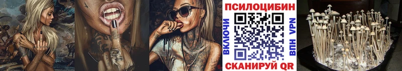площадка телеграм  Чердынь  Псилоцибиновые грибы Cubensis 